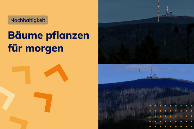 Bildvergleich vom Harz mit vielen grünen Bäumen vs. kahle Bäume, Text: "Bäume pflanzen für morgen"